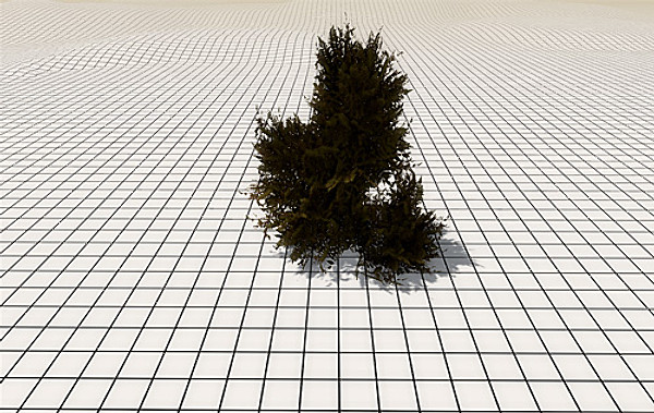 afghan vegetation 24 tree 3d max - 24 Afghan Vegetation Models by pure3dviz
